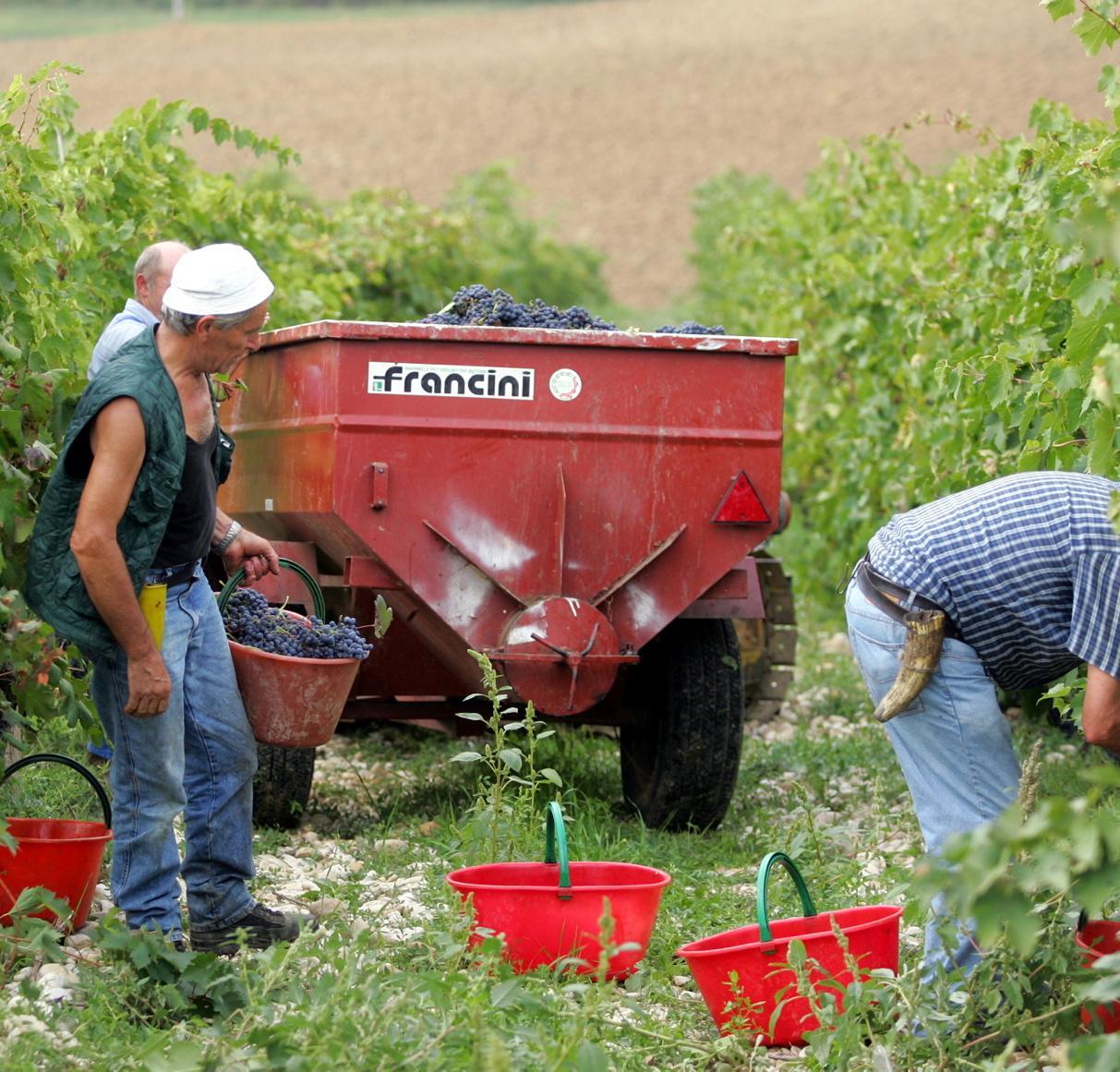 L’allarme per i dazi. Cesani: "Conseguenze rischiose per tutti". Export da 282 milioni