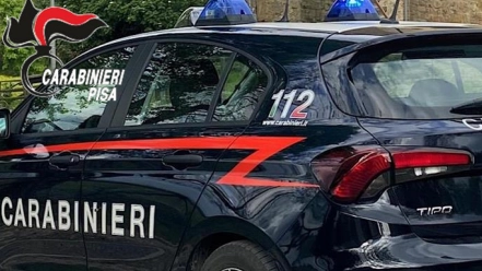 L'operazione dei carabinieri di Pisa