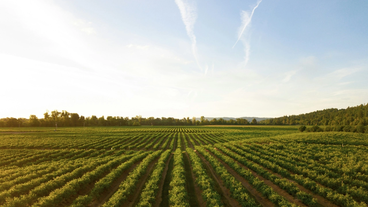 Scendono in Toscana gli infortuni sul lavoro nelle aziende agricole