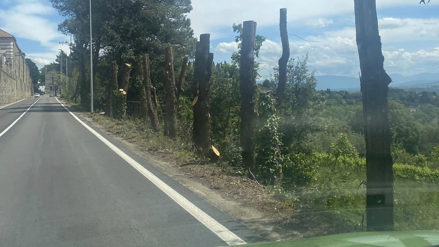 Piante addio "Il Giro d’Italia falcia gli alberi". La replica di Pastorelli: "Solo potature"