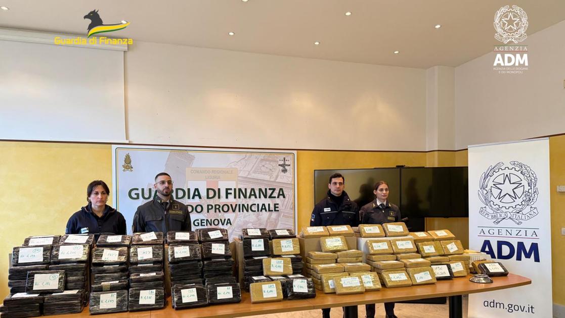 In mezzo al tonno in scatola 240 chili di cocaina purissima. ‘Valgono fra 40 e 50 milioni di euro’