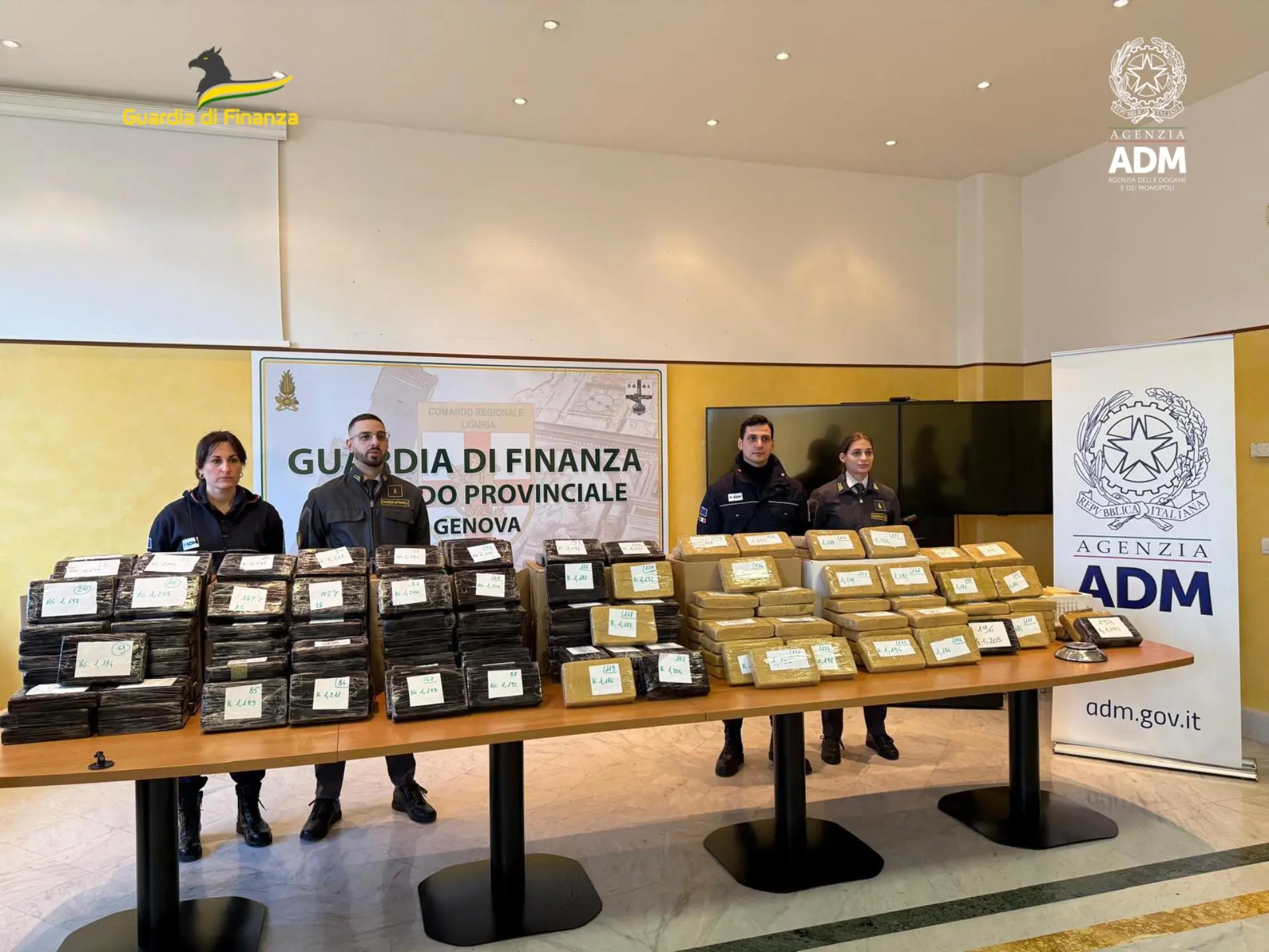 In mezzo al tonno in scatola 240 chili di cocaina purissima. ‘Valgono fra 40 e 50 milioni di euro’