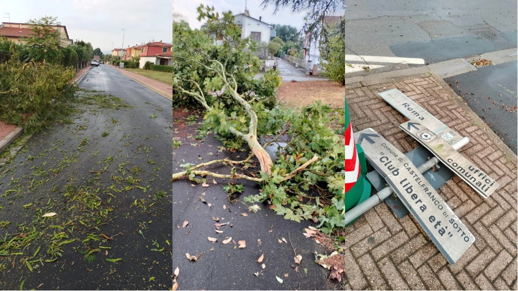 Le immagini dopo il downburst (Foto Facebook/Comune di Castelfranco di Sotto)