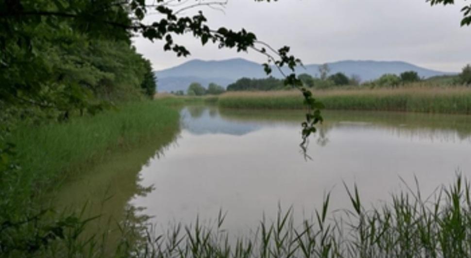 Giornata delle Zone Umide, le iniziative nelle oasi Wwf della Toscana