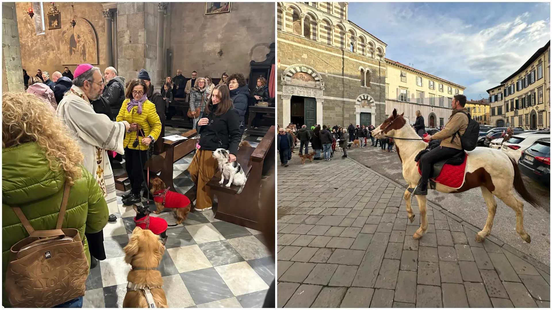 Sant’Antonio Abate, grande festa per la benedizione degli animali