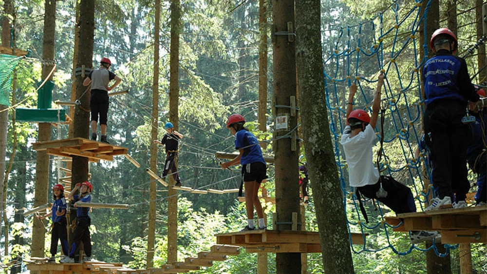 Un parco avventura sospeso tra gli alberi (foto di repertorio)