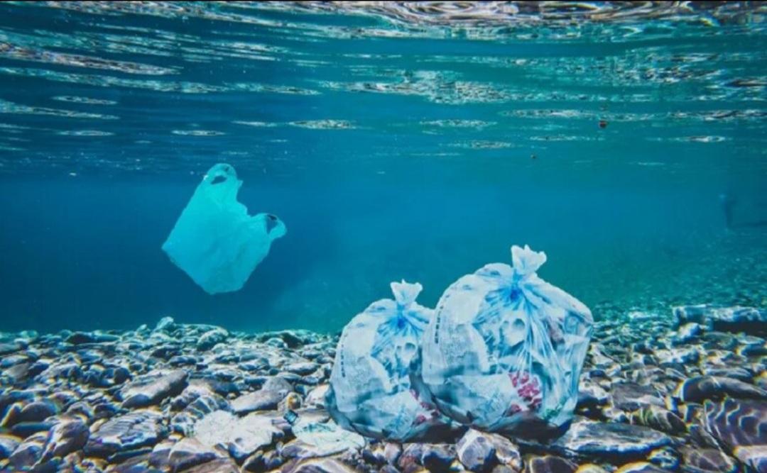 12 settembre, la giornata senza plastica. Sapete quanti rifiuti nei fondali oceanici?