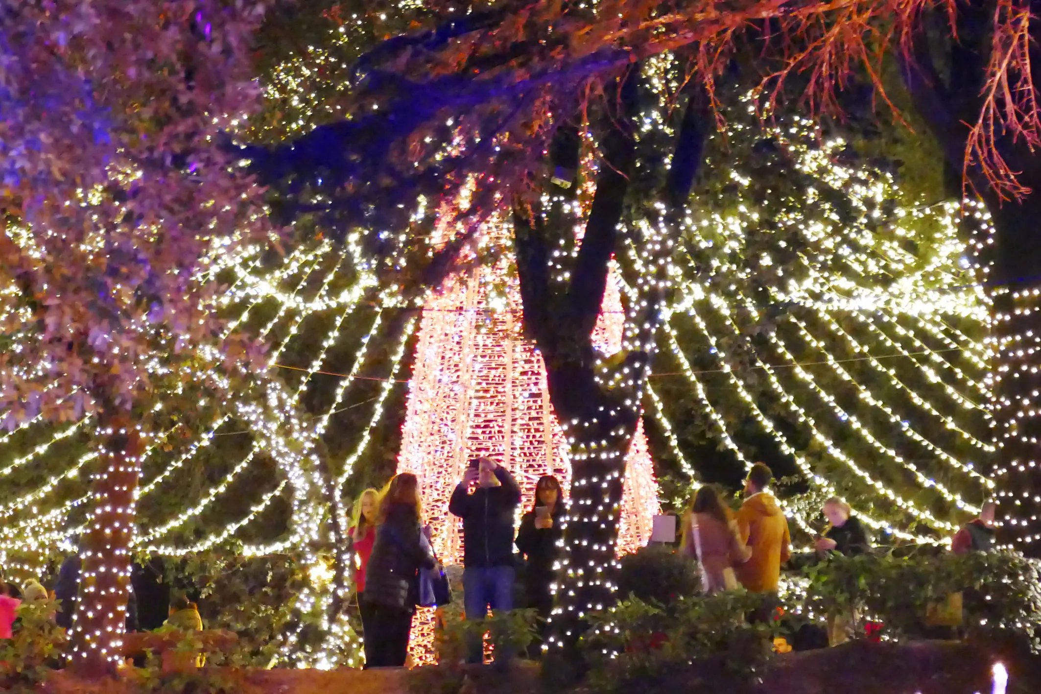 Arezzo e la Città del Natale, pronti, via: è già folla. Decine di migliaia aprono la festa