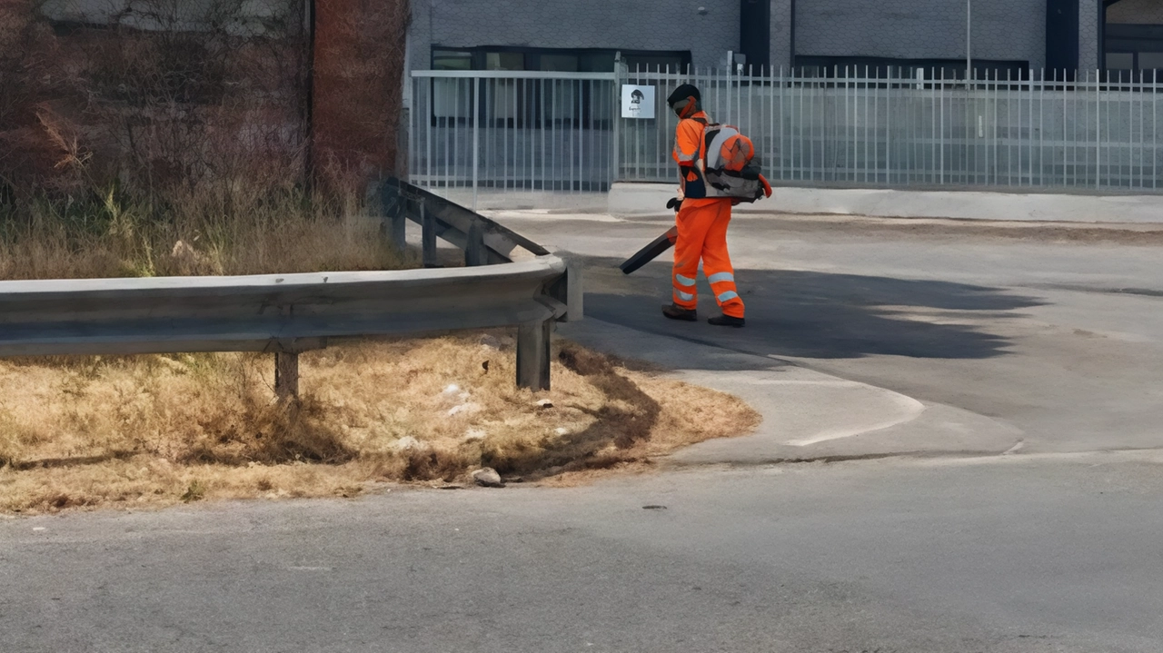 Il Consorzio Zia ha completato la manutenzione ordinaria delle strade nella Zona industriale apuana di Massa Carrara, migliorando l'aspetto e la funzionalità per le imprese locali. I lavori, finanziati con 190mila euro, includono la pulizia delle aree verdi e la manutenzione delle infrastrutture stradali.