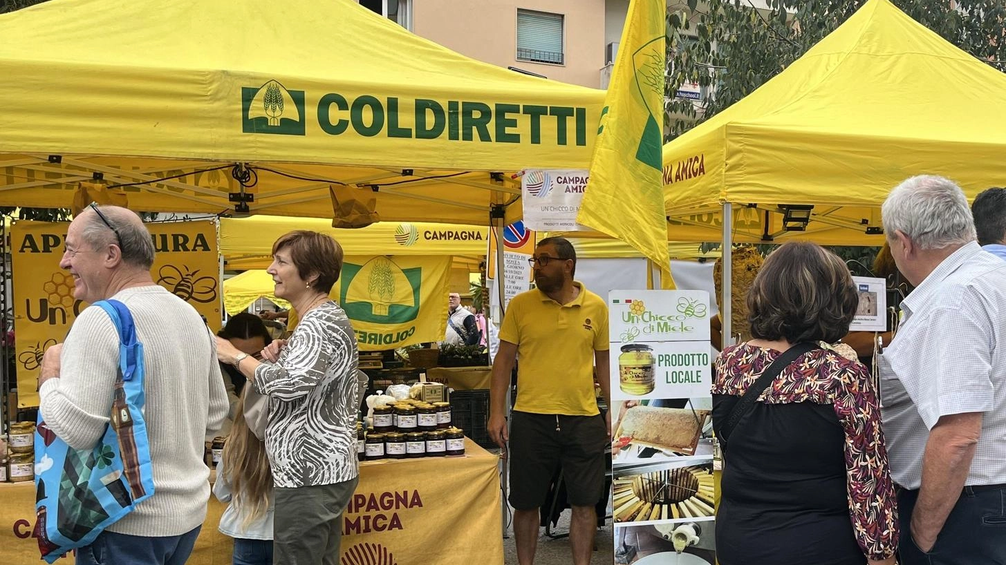 Massa si veste a festa . Stand, prodotti e attività