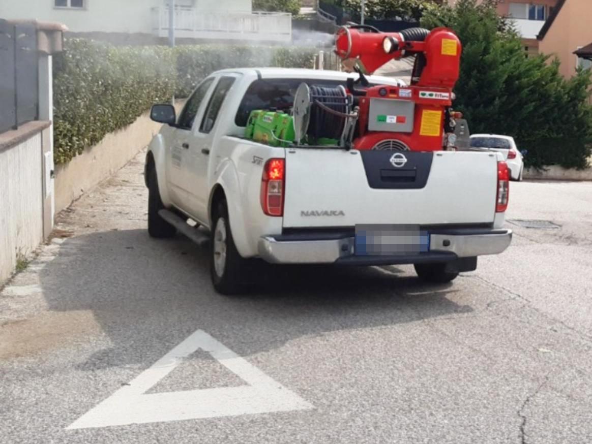 Un caso di leishmaniosi a Carrara, scatta la disinfestazione delle strade