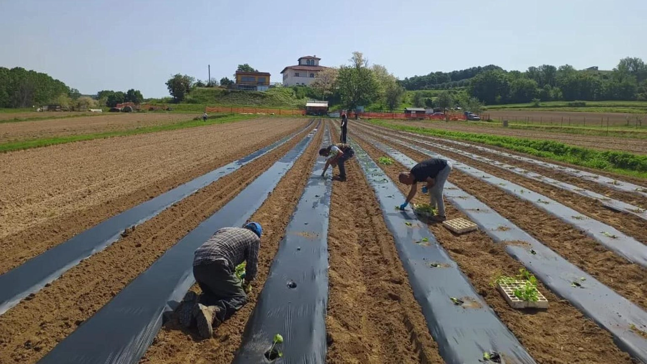 Don Maurizio, fondatore e anima del progetto di Montefoscoli che aiuta tanti giovani "Coinvolti una trentina di persone, la routine nei campi stimola. E presto avremo un ristorante".