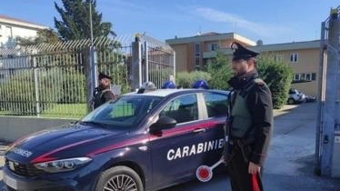 Il ladro, un 40enne, è stato arrestato dai carabinieri .