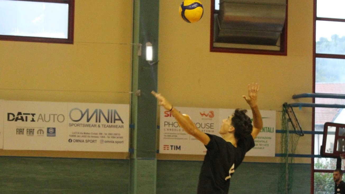 Le formazioni della Versilia si confrontano nei campionati nazionali e regionali di pallavolo. Risultati, classifiche e prossime sfide delle Serie B, B1, C e D maschili e femminili.