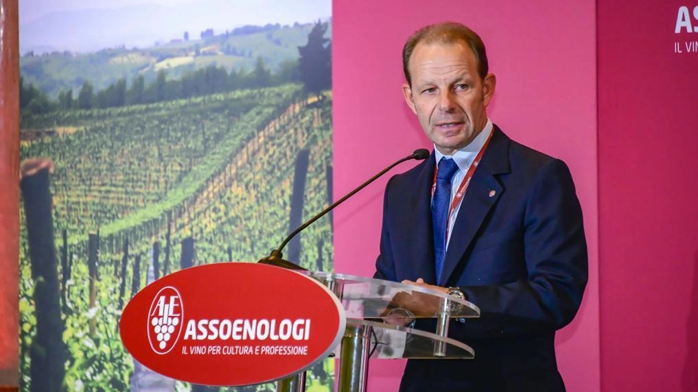 Clima e vino al G7: "La produzione sale ma è crisi di vendite"