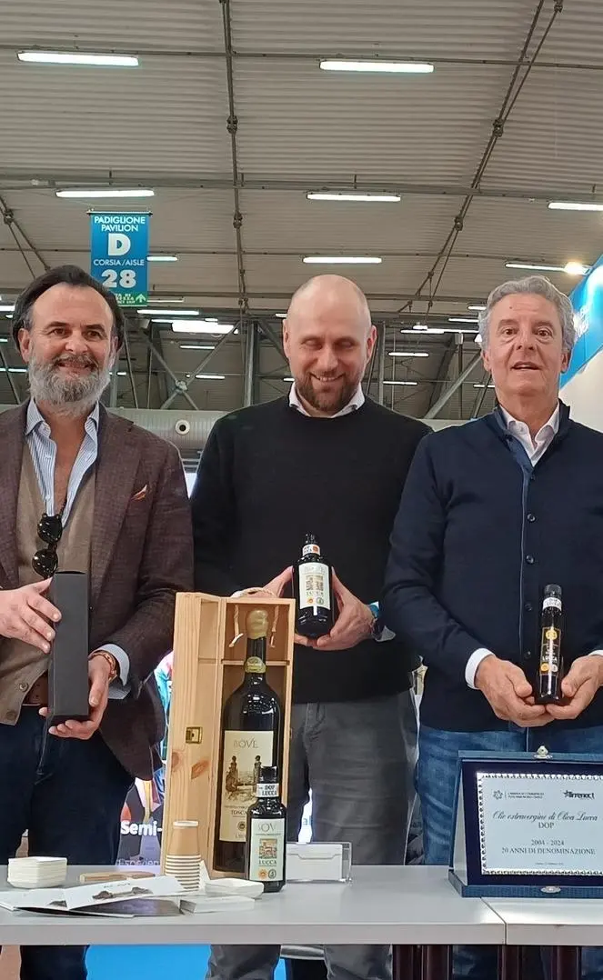 I 20 anni della Dop all’olio extravergine