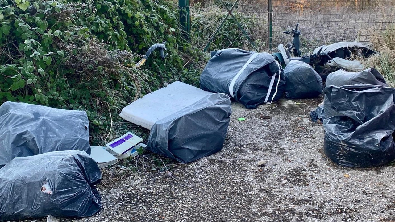 Nella zona spuntano cumuli di sacchi neri e montagne di scarti ammassati tra le aree verdi. La rabbia di Toccafondi: "Ora telecamere". E intanto Alia lancia la campagna contro gli abbandoni in città. .