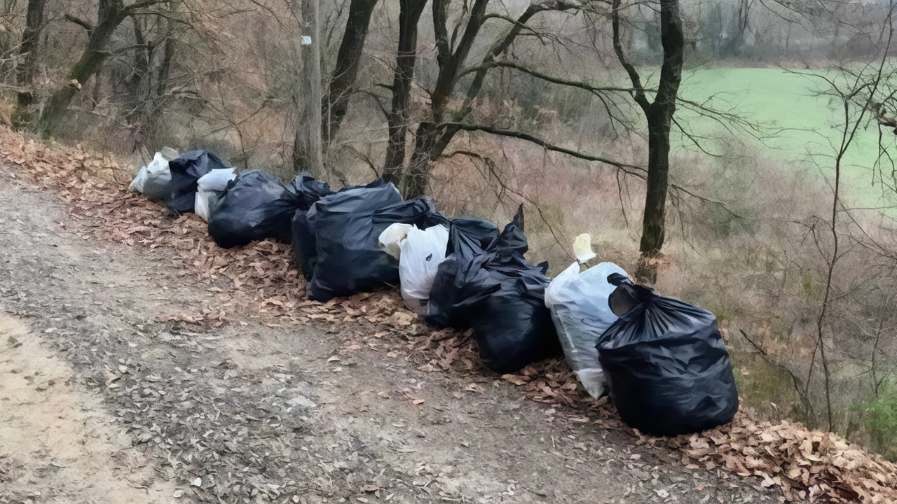 Chiusi, sono stati rimossi velocemente grazie alla segnalazione di un cittadino.