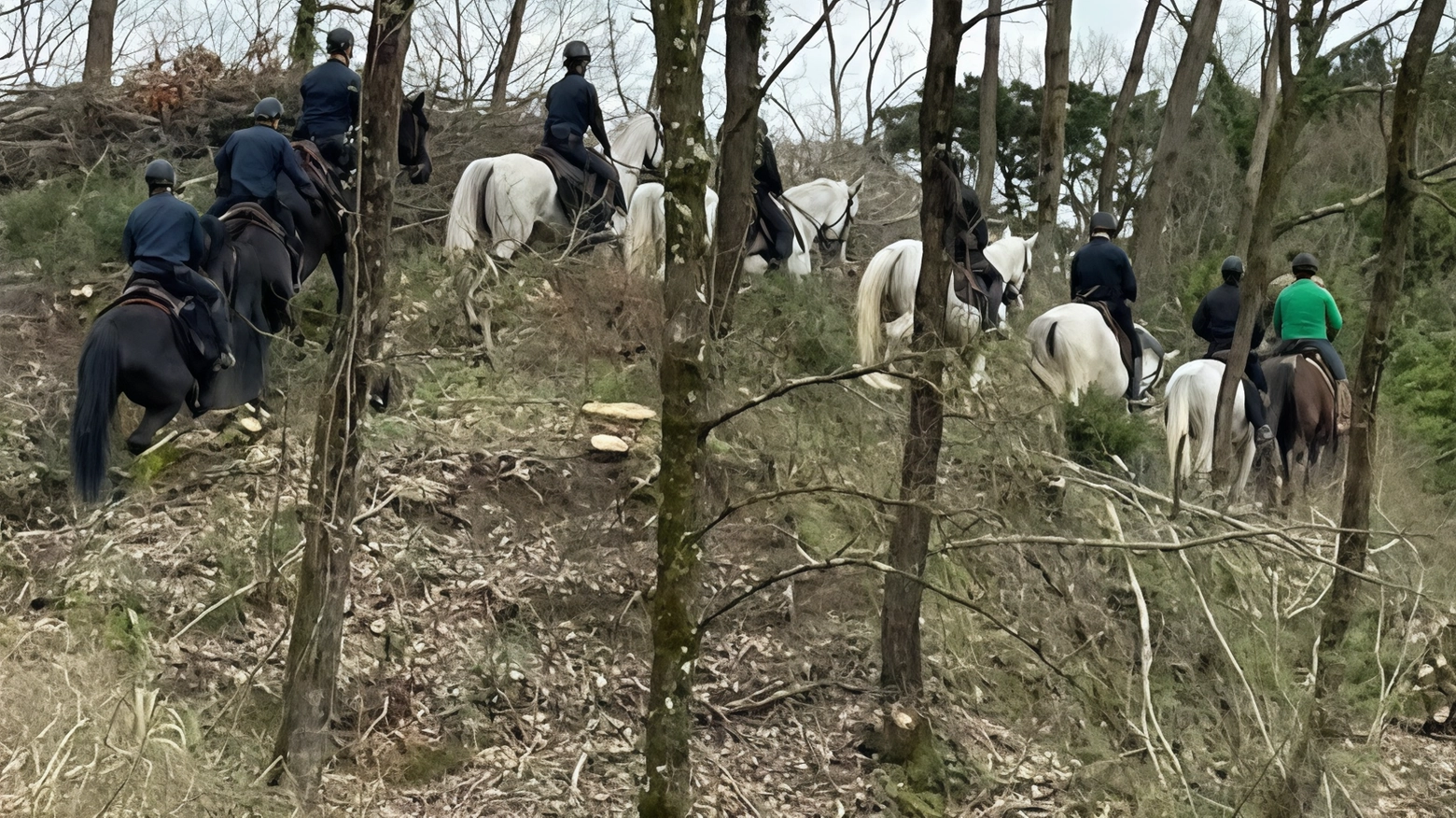 Lotta serrata allo spaccio. L’assalto ai bivacchi con i carabinieri a cavallo