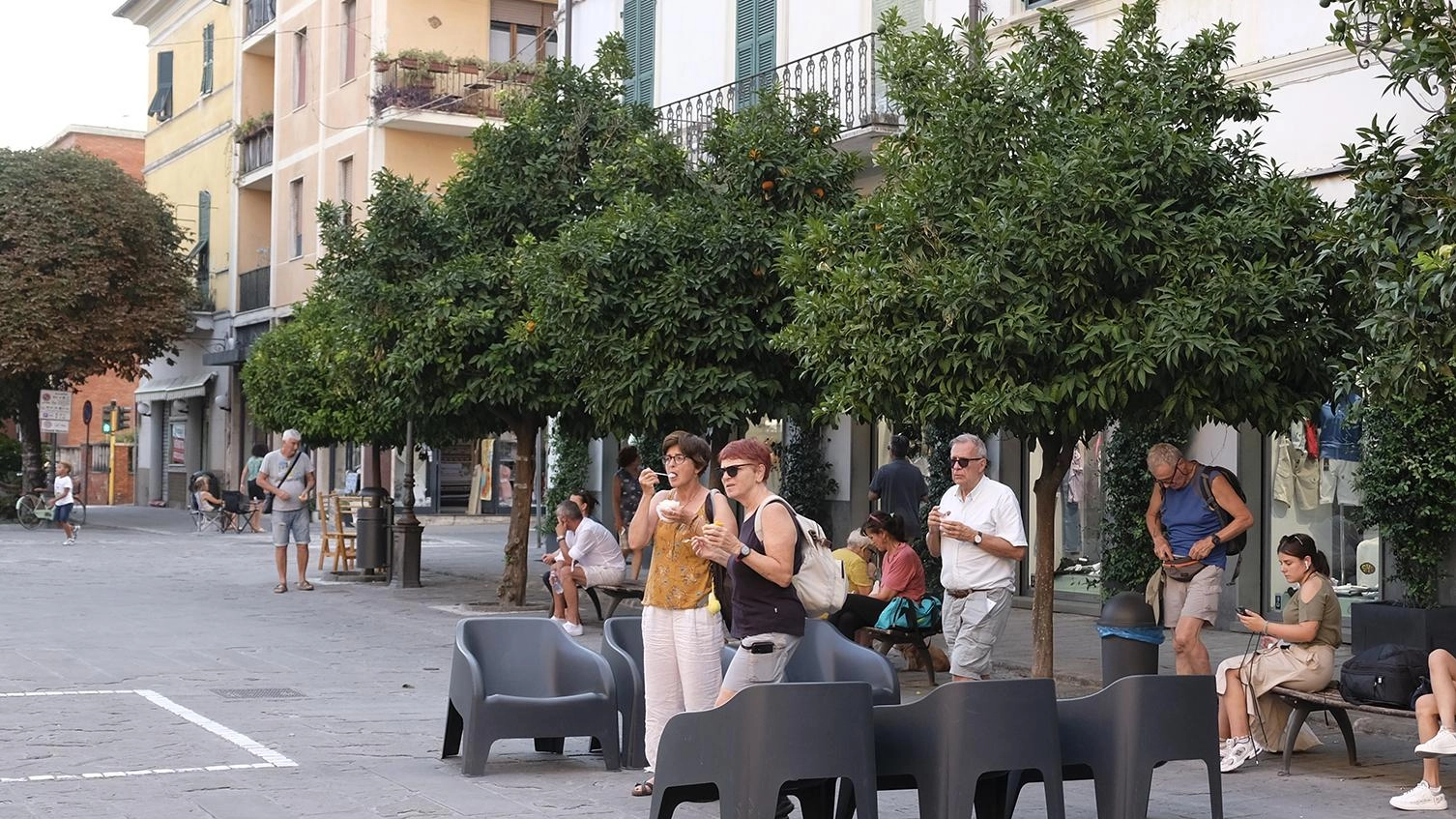 Un insetto ha attaccato gli aranci. Disinfestazione in piazza Garibaldi