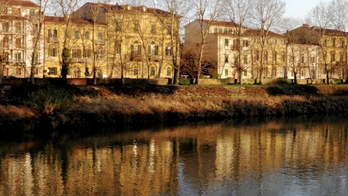 "Rivogliamo i platani sul Lungarno Buozzi, la posizione del genio Civile è obsoleta e va superata". È la posizione della...