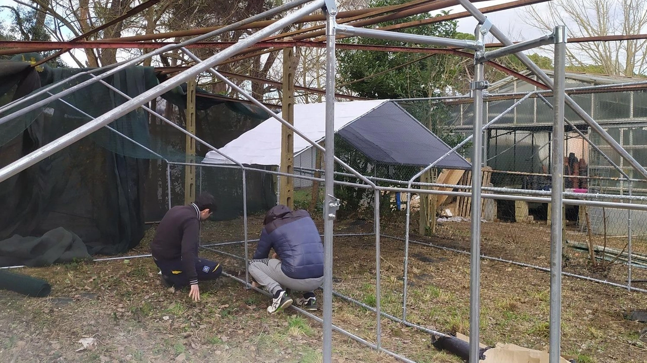 La struttura sorgerà alle ex serre di via S. Antonio. Inaugurazione a fine marzo