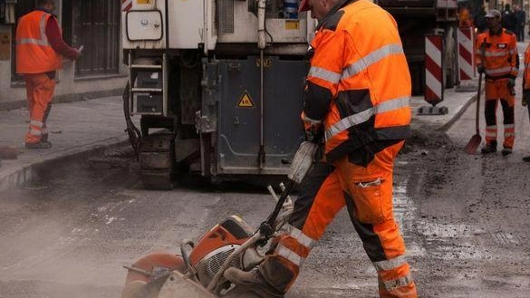 Controlli agli alberi in viale Bruno Buozzi. Chiusa la strada a Olmo