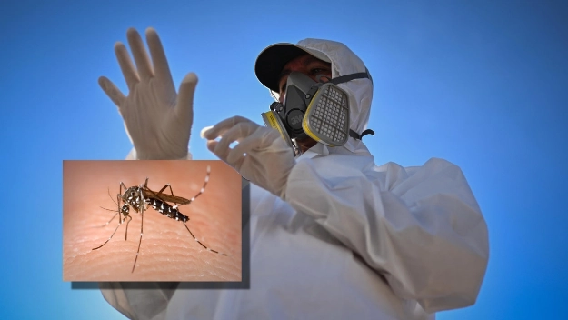 Il caso di Dengue è stato individuato dall'Asl Toscana Nord Ovest e notificato al Comune di Massa