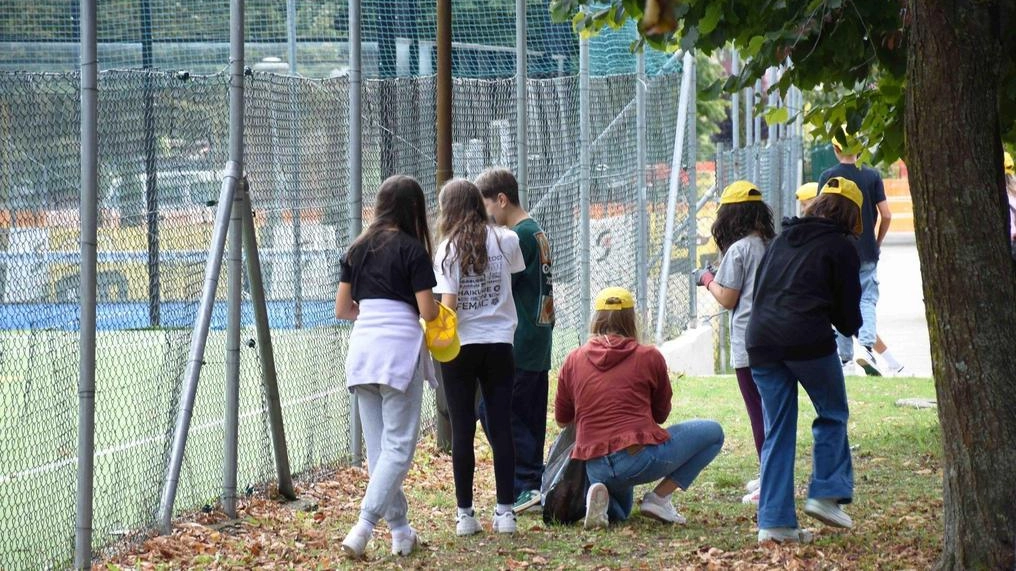 Gli studenti della ’Burri’ di Trestina all’opera nelle aree verdi del quartiere