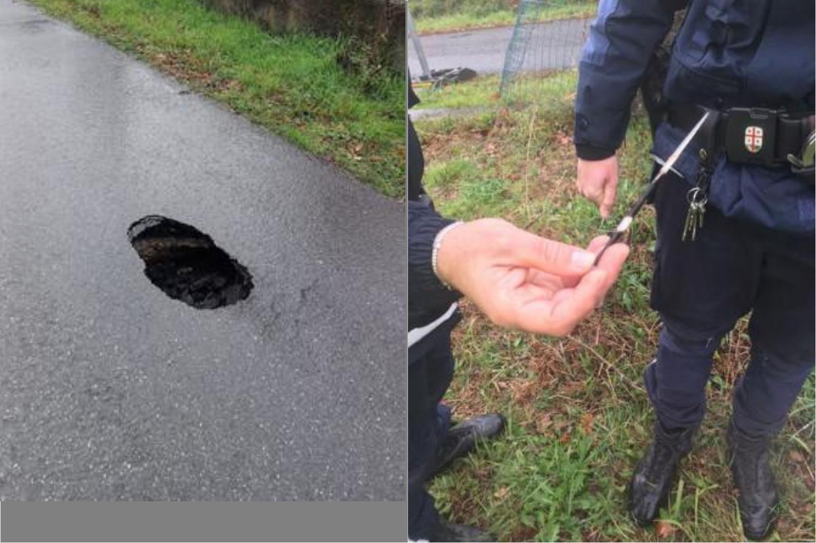 La strada cede e si crea una buca, era la tana scavata da un istrice