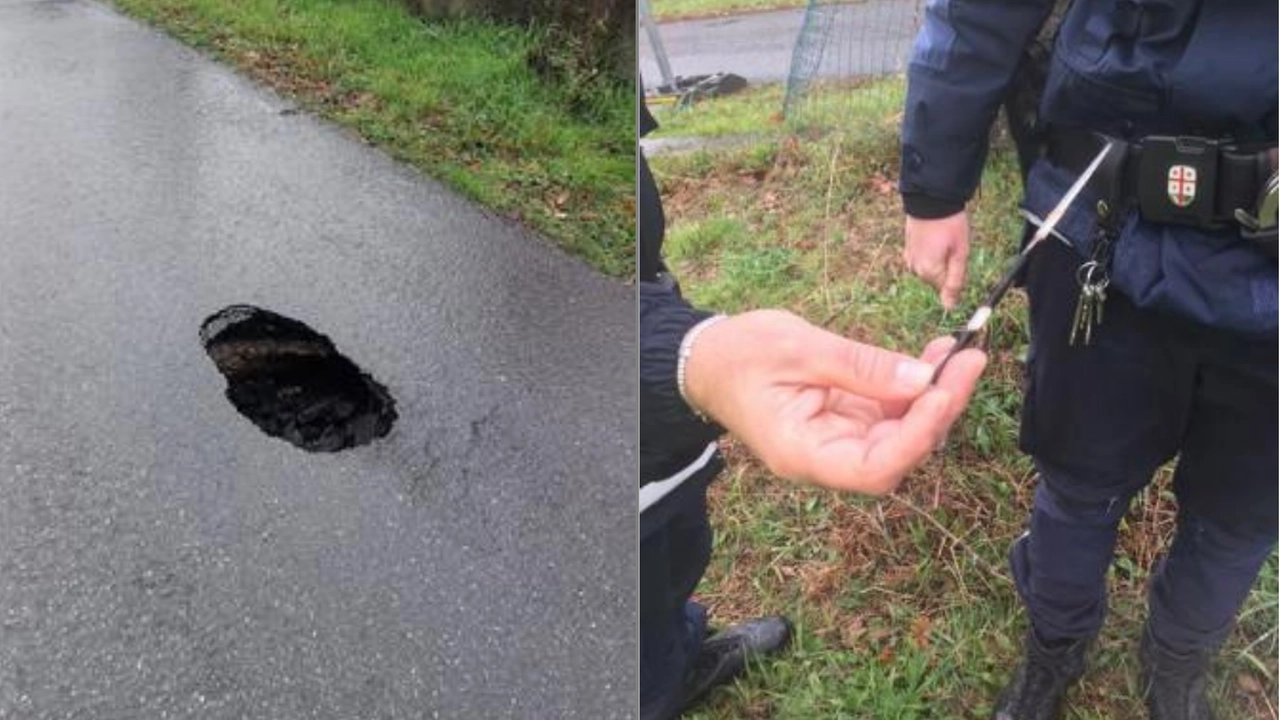 Il piccolo cratene nell'asfalto e l'aculeo ritrovato all'interno