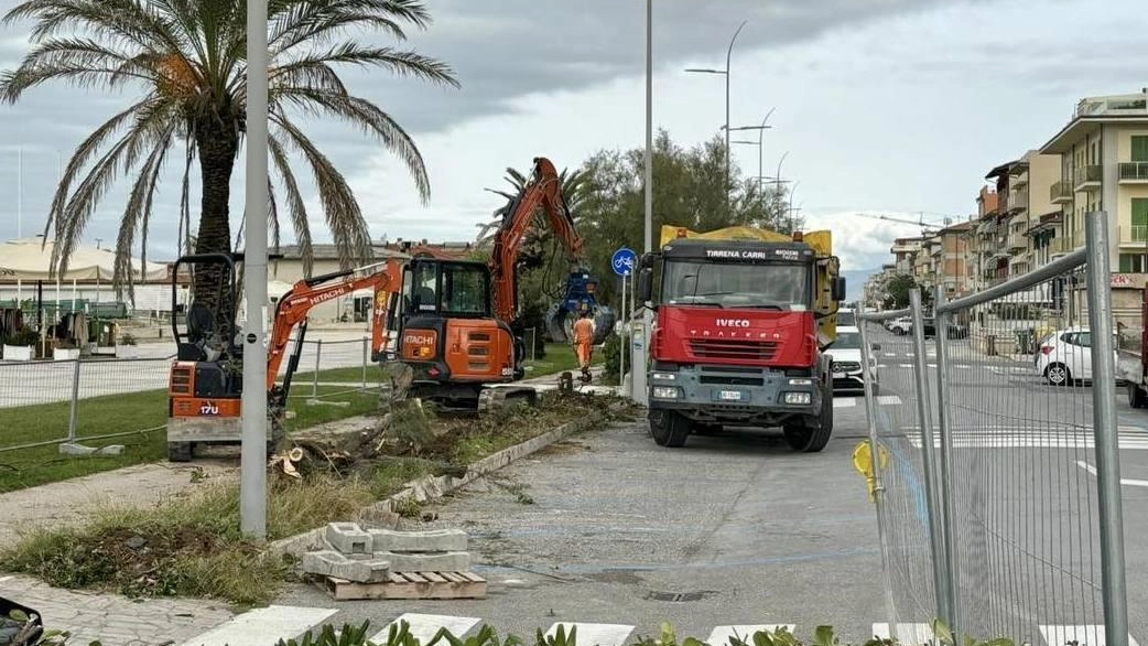 I mezzi impiegati per i lavori di riqualificazione della Ciclovia Tirrenica ieri mattina all’opera nella frazione costiera di Lido di Camaiore