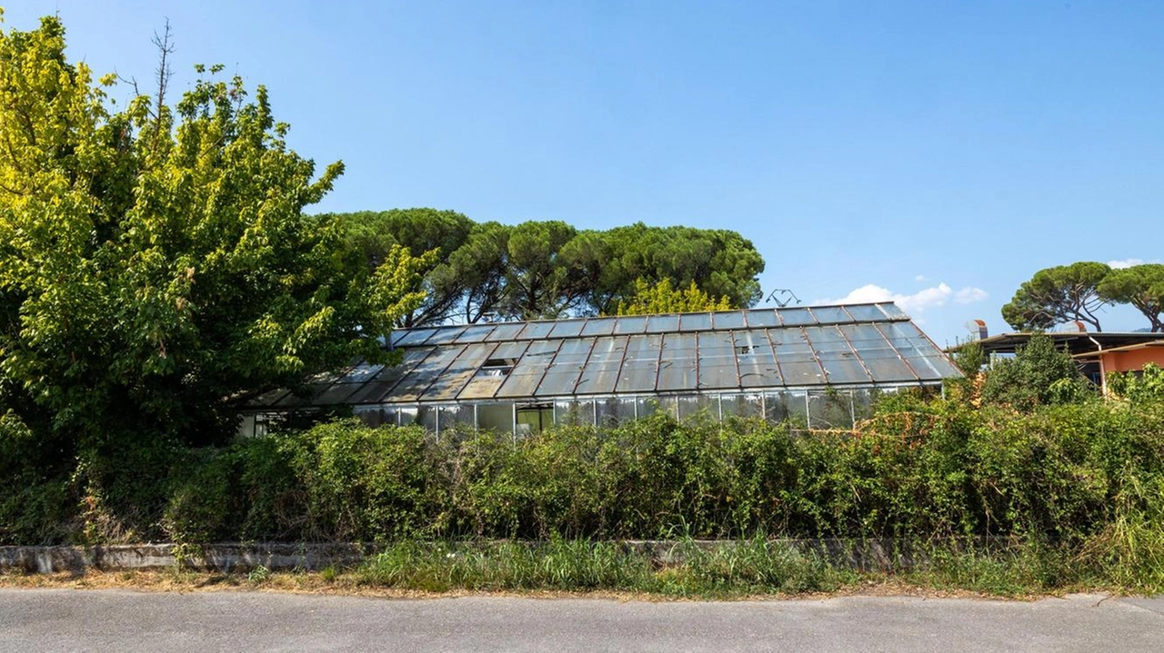 Nelle vecchie serre di via Sant’Antonio ci sarà anche un centro di raccolta di avifauna