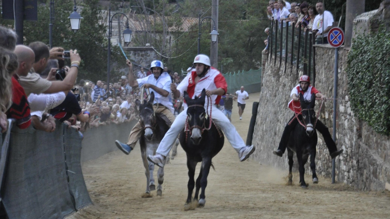 Il tradizionale palio dei ciuchi di Campagnatico si correrà oggi alle 18 Alle 16 ci sarà però la benedizione dei fantini e degli animali