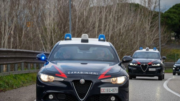 I carabinieri hanno arrestato una banda di ladri in trasferta da Lucca fino a Pontedera e Montopoli. Uno è scappato lanciandosi dal cavalcavia