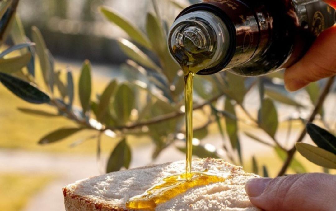 Olio, a Firenze la prima fiera dedicata agli Ultra Premium. Tre giorni di assaggi