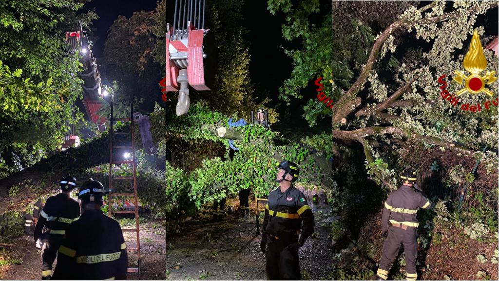 Maltempo, cade un albero a Barberino Valdelsa. Notte di lavoro per i vigili del fuoco