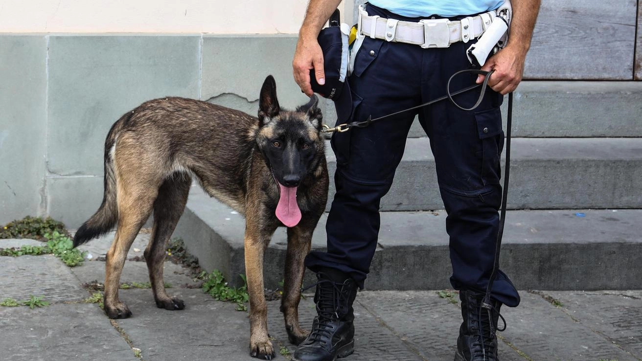 Il cane Willy in azione. Droga alla stazione 100 grammi di hashish