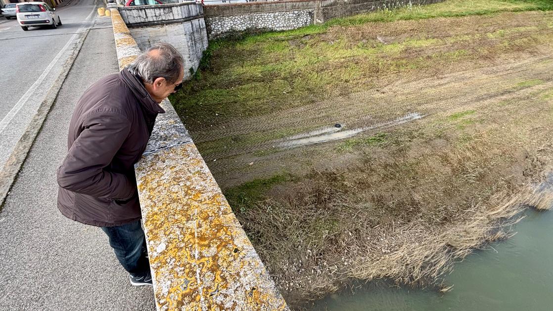 Vongole aliene, è allarme: “Fenomeno da monitorare, una minaccia ai nostri fiumi”