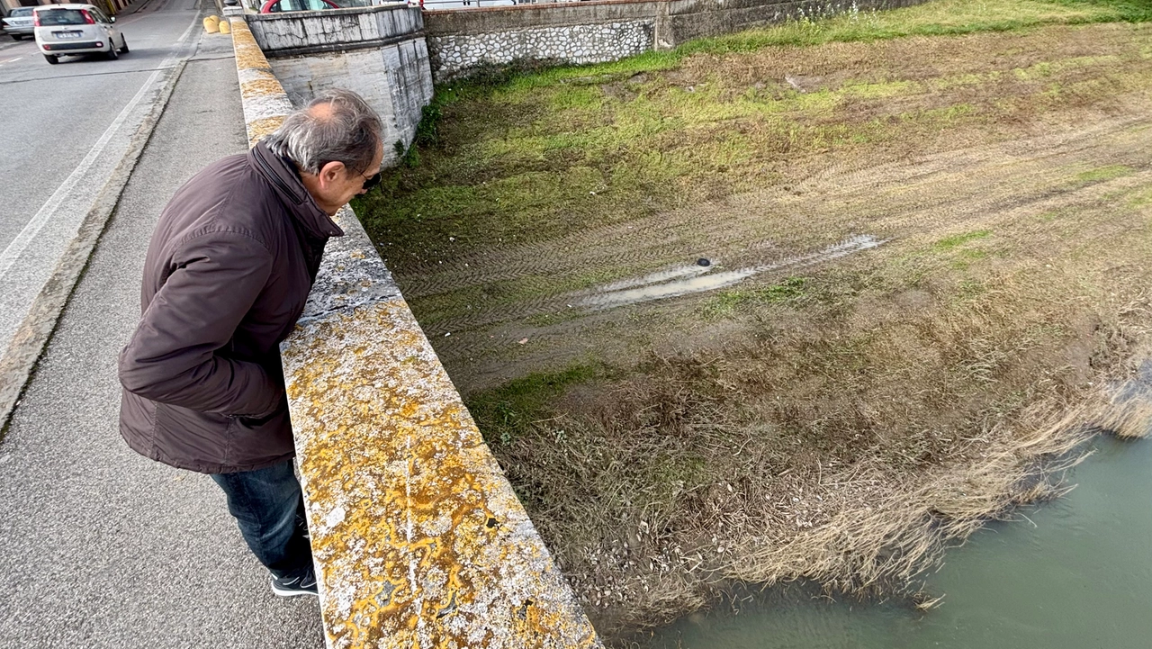 Le “maxivongole” spiaggiate sono visibili anche dal ponte napoleonico