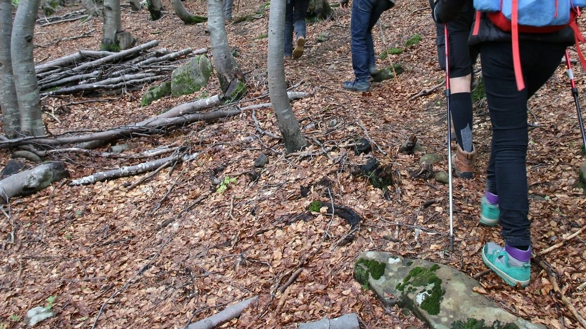 Trekking sui Monti Pisani lungo i sentieri dei partigiani, dei soldati anglo-americani e dei tanti sfollati: l’iniziativa del 24-25 agosto e 1-2 settembre