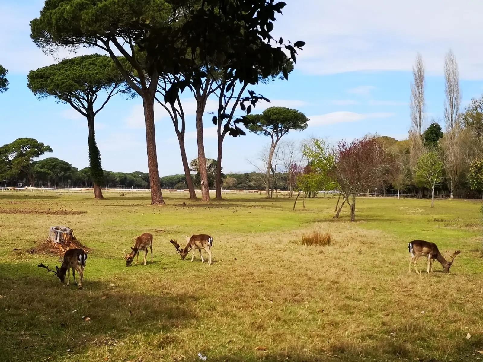 progetti ecosostenibili 