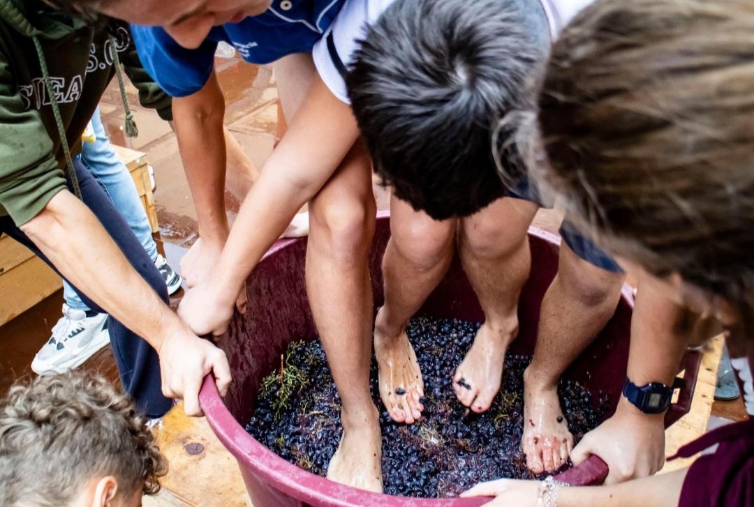 Chiusi, al via la quarantunesima edizione della festa dell’uva e del vino