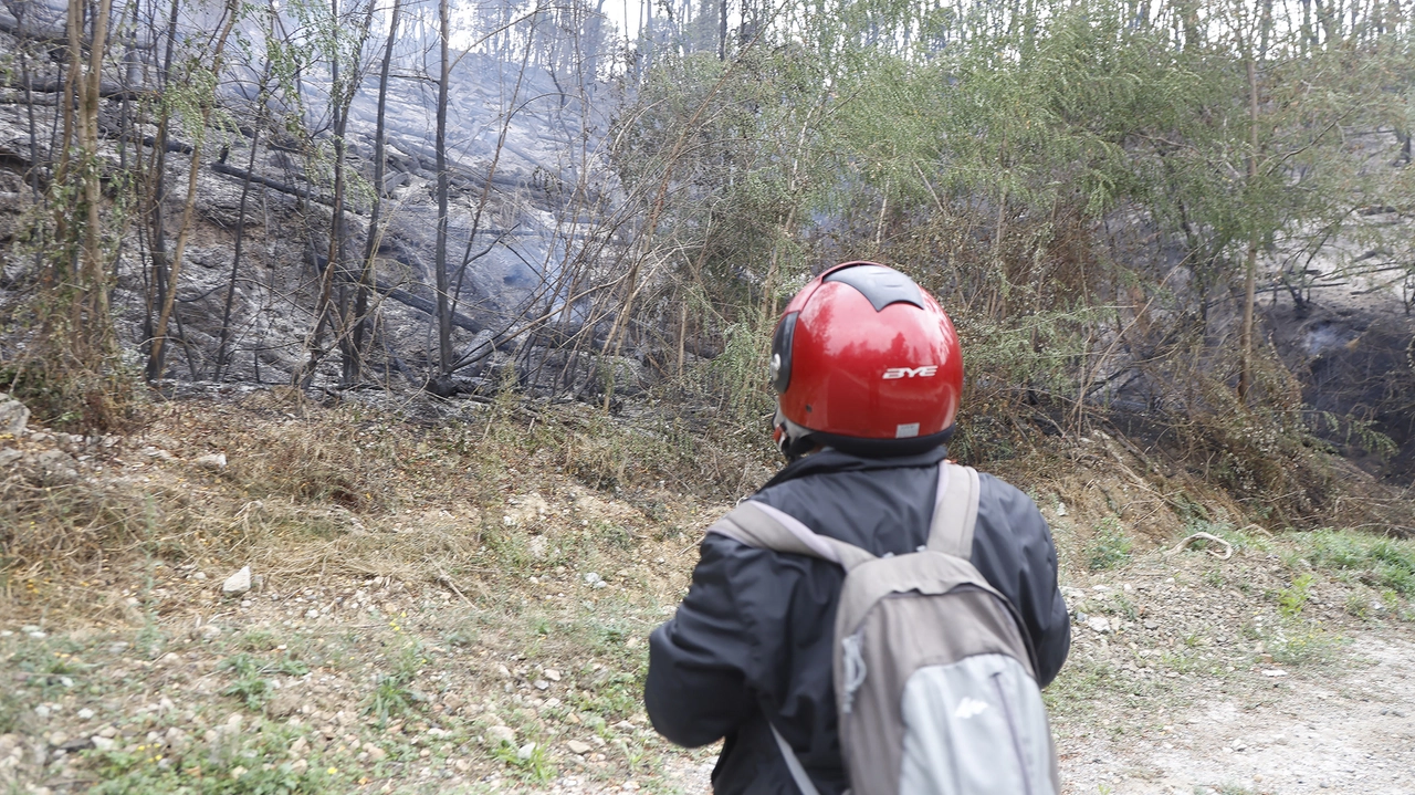 Lo scenario lunare apparso allo spegnimento delle fiamme