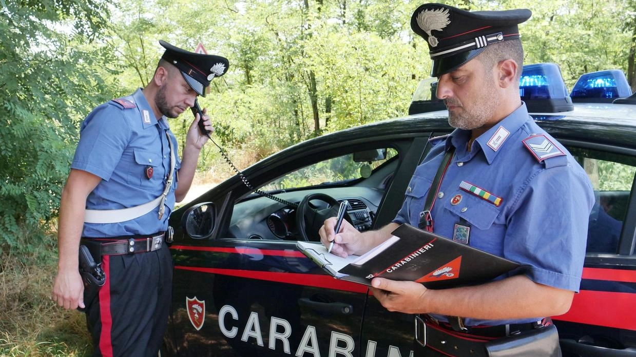 Tempestivo intervento dei carabinieri: ladri presi. in flagranza di reato