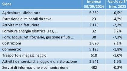 La fotografia della Camera di Commercio sull’andamento nei primi 9 mesi 2024. Bene le costruzioni, l’agricoltura e i servizi. Ma c’è preoccupazione per il 2025.