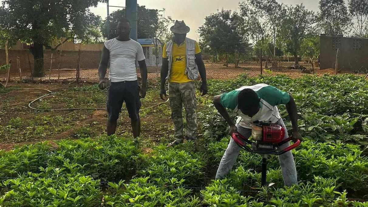 Quarantamila ettari di vitigno che serviranno a contrastare il fenomeno dell’immigrazione. Capofila Francois Desirè Bazie, titolare dell’azienda massese che produce prodotti locali. .