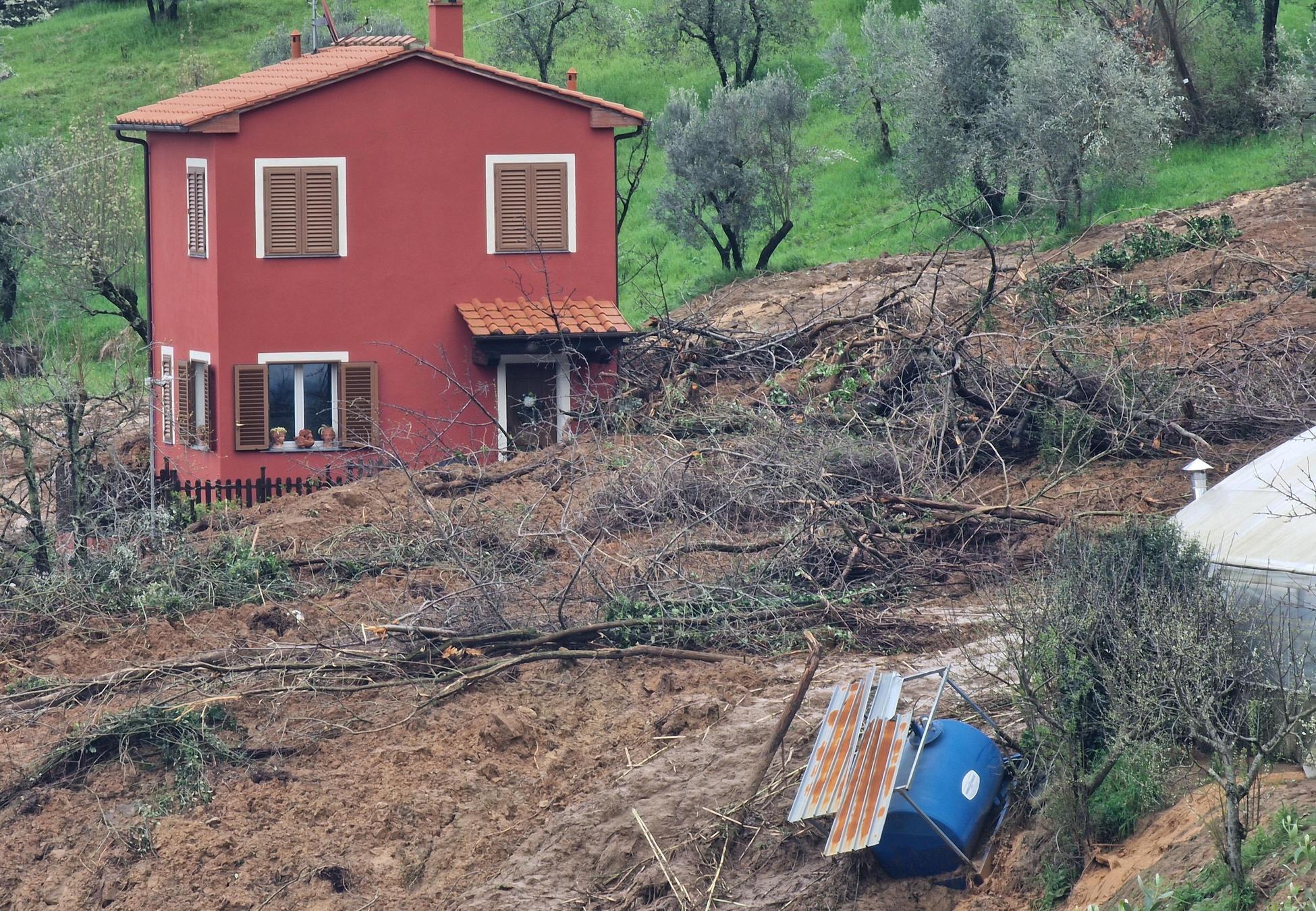 La collina viene giù. Seppellita l’azienda che produce cactus: "Persi anni di lavoro"