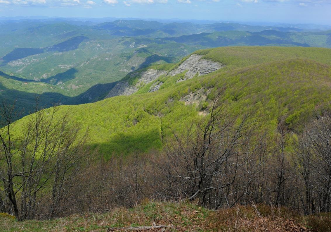 Toscana stanzia 