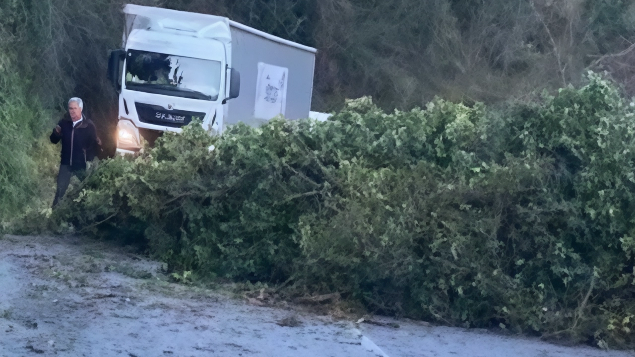 Il forte vento che da domenica scorsa si è abbattuto su buona parte della Toscana ha creato qualche grattacapo anche...